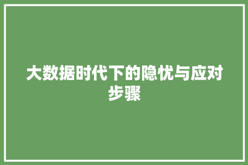 大数据时代下的隐忧与应对步骤