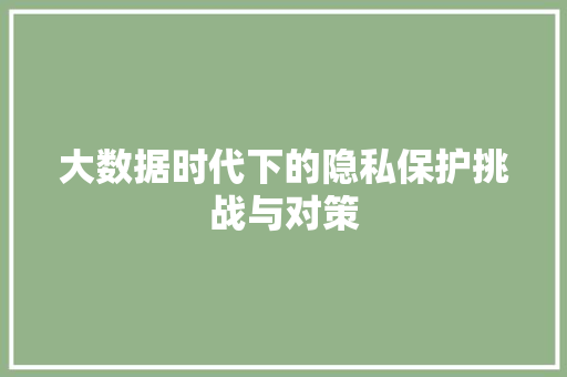 大数据时代下的隐私保护挑战与对策