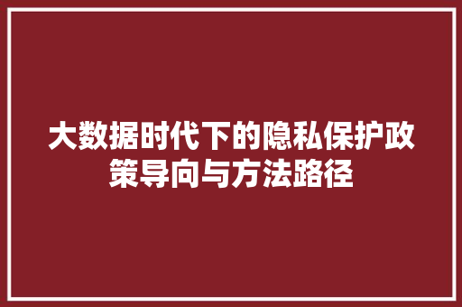 大数据时代下的隐私保护政策导向与方法路径