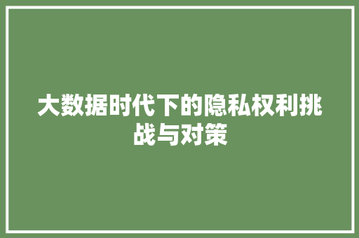 大数据时代下的隐私权利挑战与对策
