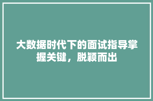 大数据时代下的面试指导掌握关键，脱颖而出