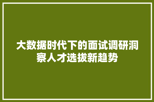 大数据时代下的面试调研洞察人才选拔新趋势