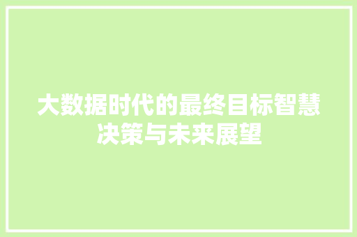大数据时代的最终目标智慧决策与未来展望