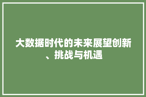 大数据时代的未来展望创新、挑战与机遇 友链在线