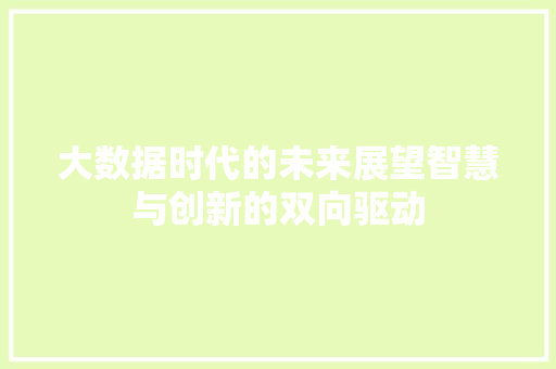 大数据时代的未来展望智慧与创新的双向驱动