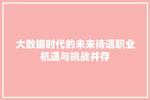 大数据时代的未来待遇职业机遇与挑战并存 WordPress教程