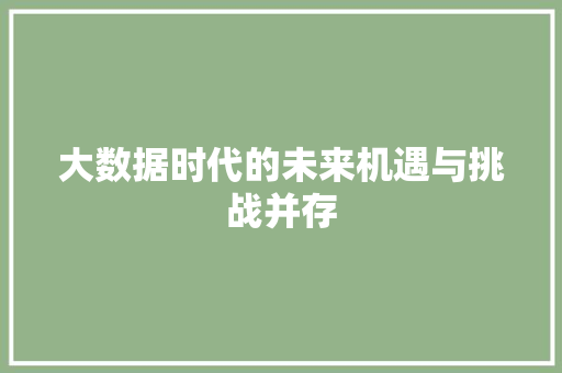 大数据时代的未来机遇与挑战并存 建站教程