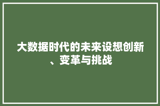 大数据时代的未来设想创新、变革与挑战 WordPress教程