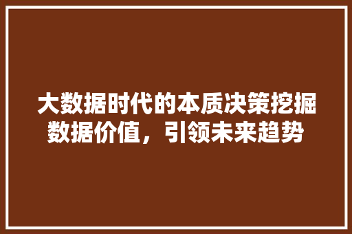 大数据时代的本质决策挖掘数据价值，引领未来趋势 Web前端