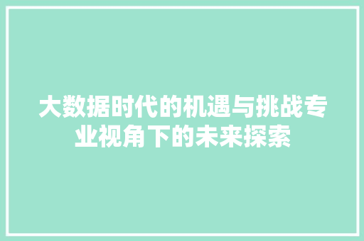 大数据时代的机遇与挑战专业视角下的未来探索