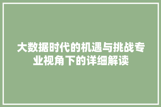 大数据时代的机遇与挑战专业视角下的详细解读