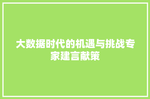 大数据时代的机遇与挑战专家建言献策