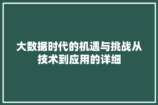 大数据时代的机遇与挑战从技术到应用的详细