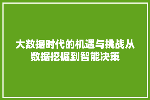 大数据时代的机遇与挑战从数据挖掘到智能决策