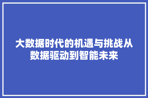 大数据时代的机遇与挑战从数据驱动到智能未来