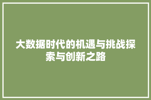 大数据时代的机遇与挑战探索与创新之路