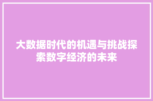 大数据时代的机遇与挑战探索数字经济的未来 WordPress教程