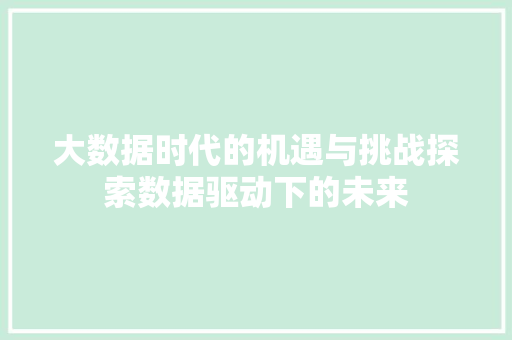 大数据时代的机遇与挑战探索数据驱动下的未来