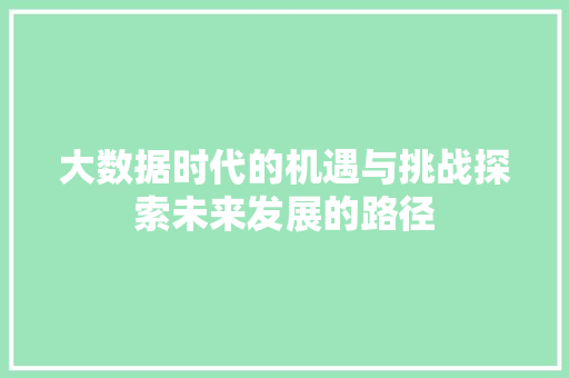 大数据时代的机遇与挑战探索未来发展的路径
