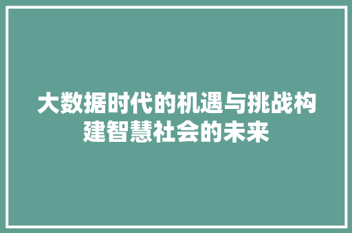 大数据时代的机遇与挑战构建智慧社会的未来