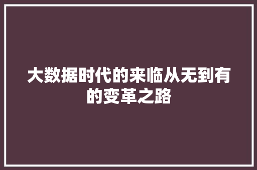 大数据时代的来临从无到有的变革之路