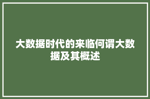 大数据时代的来临何谓大数据及其概述
