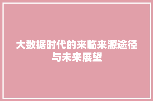 大数据时代的来临来源途径与未来展望