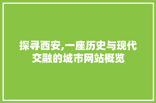 探寻西安,一座历史与现代交融的城市网站概览