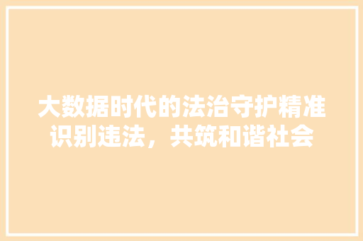大数据时代的法治守护精准识别违法，共筑和谐社会