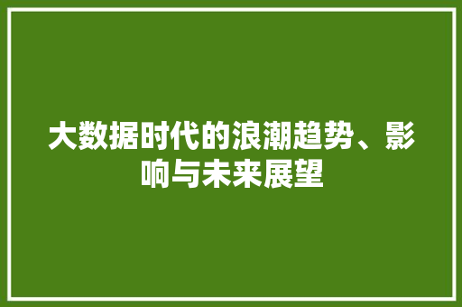 大数据时代的浪潮趋势、影响与未来展望