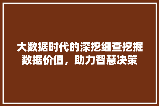 大数据时代的深挖细查挖掘数据价值,助力智慧决策 SEO教程 大数据时代的深挖细查挖掘数据价值,助力智慧决策 SEO教程