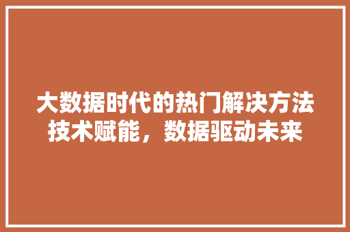 大数据时代的热门解决方法技术赋能，数据驱动未来 建站教程