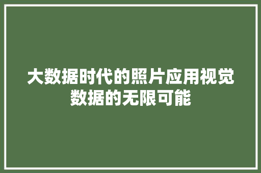 大数据时代的照片应用视觉数据的无限可能 建站教程