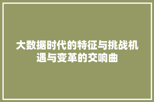大数据时代的特征与挑战机遇与变革的交响曲