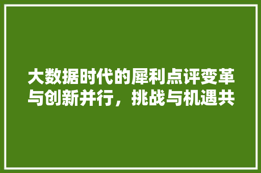 大数据时代的犀利点评变革与创新并行,挑战与机遇共存 服务器/数据库 大数据时代的犀利点评变革与创新并行,挑战与机遇共存 服务器/数据库
