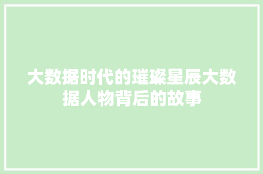 大数据时代的璀璨星辰大数据人物背后的故事