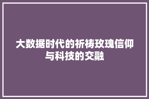 大数据时代的祈祷玫瑰信仰与科技的交融