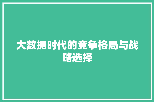 大数据时代的竞争格局与战略选择