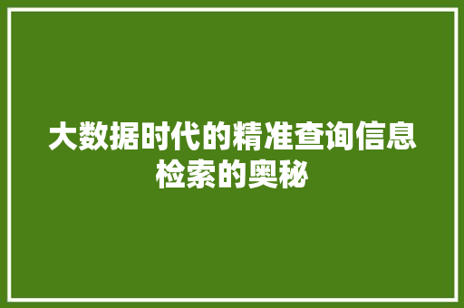 大数据时代的精准查询信息检索的奥秘