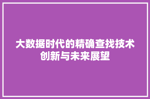 大数据时代的精确查找技术创新与未来展望