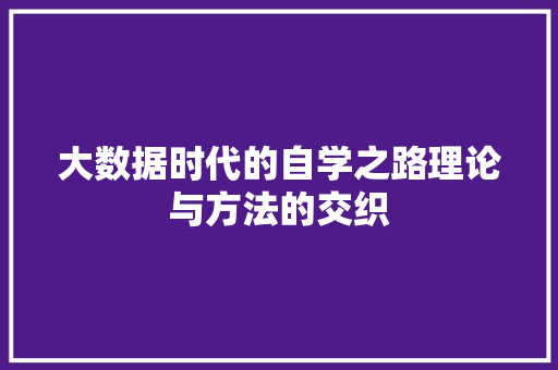 大数据时代的自学之路理论与方法的交织