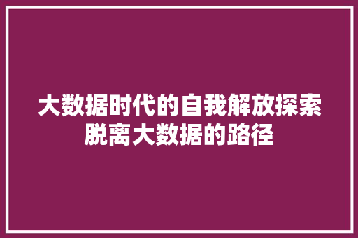 大数据时代的自我解放探索脱离大数据的路径