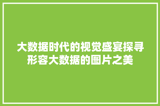 大数据时代的视觉盛宴探寻形容大数据的图片之美