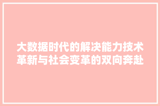 大数据时代的解决能力技术革新与社会变革的双向奔赴