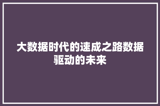 大数据时代的速成之路数据驱动的未来