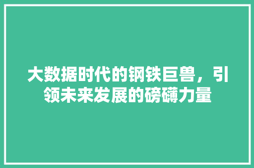 大数据时代的钢铁巨兽，引领未来发展的磅礴力量