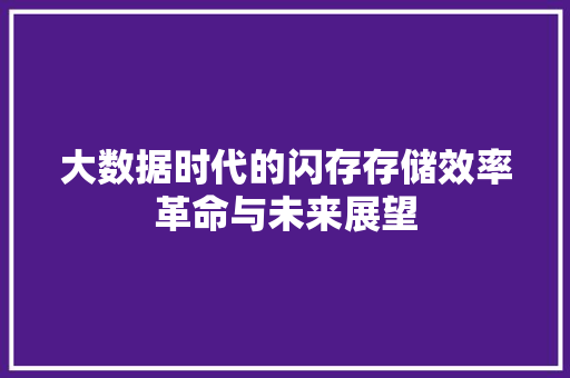 大数据时代的闪存存储效率革命与未来展望