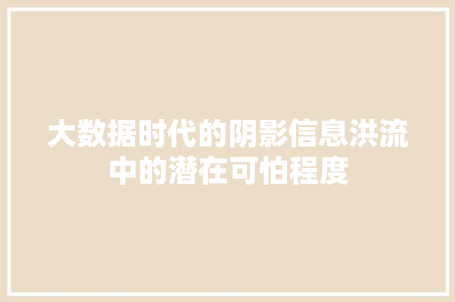 大数据时代的阴影信息洪流中的潜在可怕程度