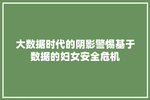 大数据时代的阴影警惕基于数据的妇女安全危机