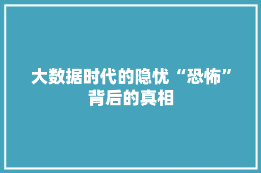 大数据时代的隐忧“恐怖”背后的真相